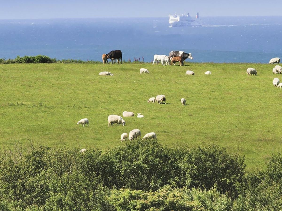 Vila Rhyd Angharad Barns Llanrhyddlad Exteriér fotografie